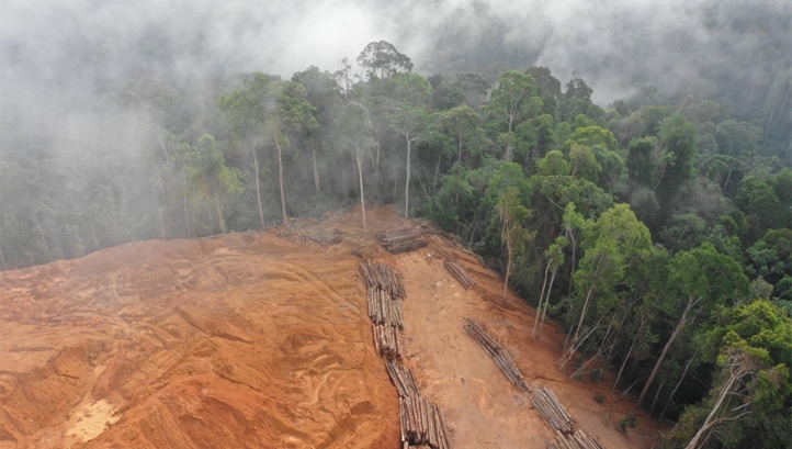 Around 80% of deforestation to date is linked to agriculture